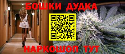 mdpv Новодвинск