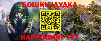 mdpv Новодвинск