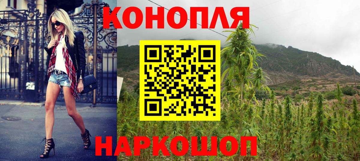 Бошки марихуана THC 21% Балтийск